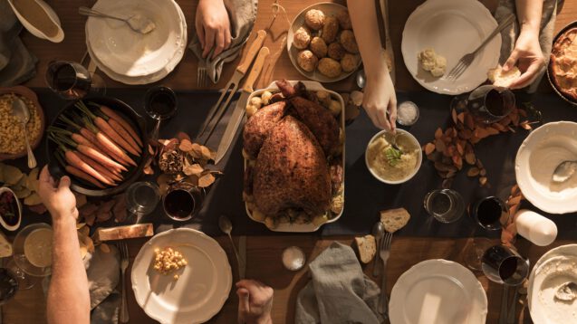 Archived: Nov 2022 Free Community Workshop:<br />Home For The Holidays? Support & Self Care for Adult Children from Difficult Families