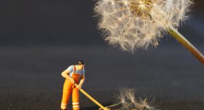 Archived: April 2023 Free Community Workshop: Spring Cleaning 2.0: Inviting Flow