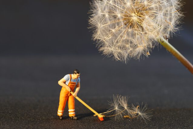 Archived: April 2023 Free Community Workshop: Spring Cleaning 2.0: Inviting Flow